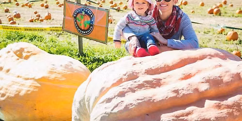 BC\u2019s Giant Pumpkin Championship (Official GPC Weigh-Off Event)
