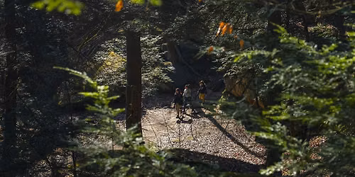 Photo Exploration Hike: Octagon Shelter (Ledges Trail)