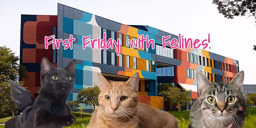 First Friday with Felines