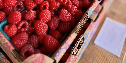 OPENING DAY MONROE FARMERS MARKET