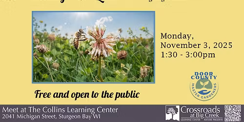 Establishing a Bee Lawn (Growing Together Educational Series)