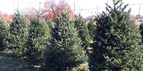 Optimist Christmas Tree Lot 2025