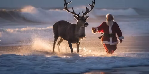 Christmas in the Bay!