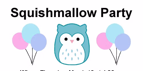 Squishmallow Party at Murphy Public Library