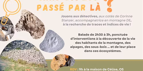 atelier d\u00e9tective nature