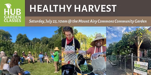 HUB Garden Class: Healthy Harvest @ the Mt. Airy Commons Community Garden