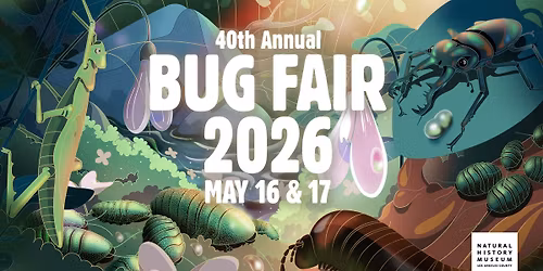 40th Annual Bug Fair at the Natural History Museum of Los Angeles