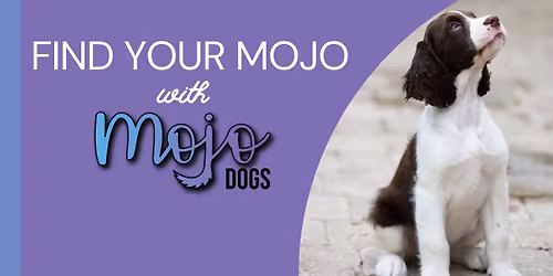 Find your Monday Mojo