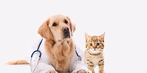 Pet Vaccination Clinic