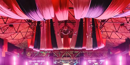 Bingo Lingo - Christmas - Deck The Balls