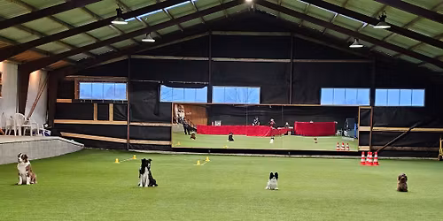 Eftermiddags-\/aften lydighedspr\u00f8ve med julehygge