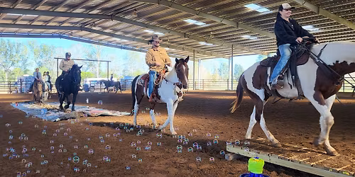 Equine Sensory Clinic **ONLY 3 SPOTS LEFT**