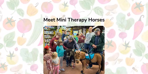 Meet Mini Therapy Horses