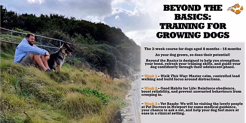 Ry's Beyond the Basics (8- 18 months)