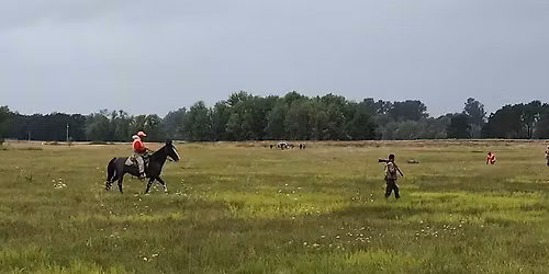 Pointing Dog Handling Seminar