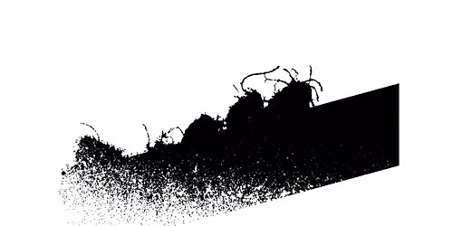 Mikrolit med Silkefyret