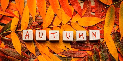 SECRET DAY OUT - AUTUMN