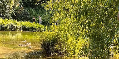 Letcombe Bassett Open Gardens 2026