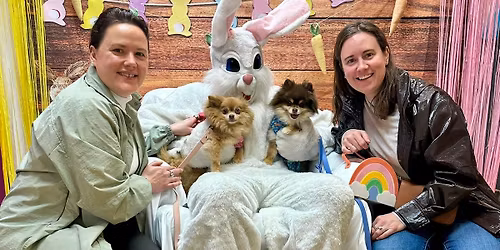 Easter Bunny Photos FREE