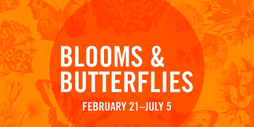 Blooms & Butterflies 