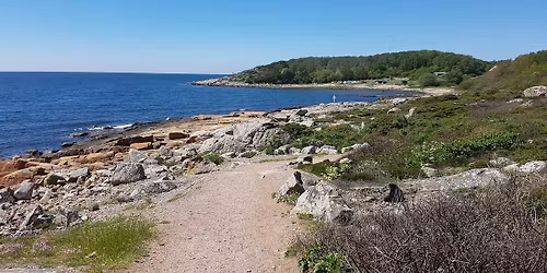 Prins Bertils Halvmarathon 21,1km och 10km