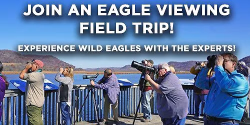 Eagle Viewing Field Trip- Bald Eagles