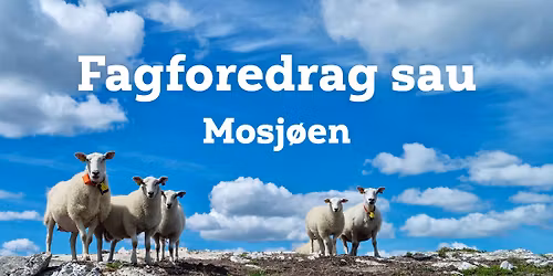 Optimalisering og drift i sauefj\u00f8set