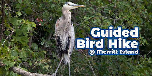 Guided Bird Hike at Merritt Island \u2014 August 2026