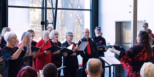 Choir! Choir! Performance
