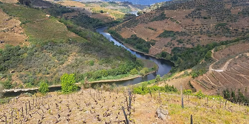 Caminhando na Rota dos Monges