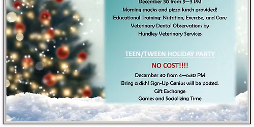 Equine Wellness Camp