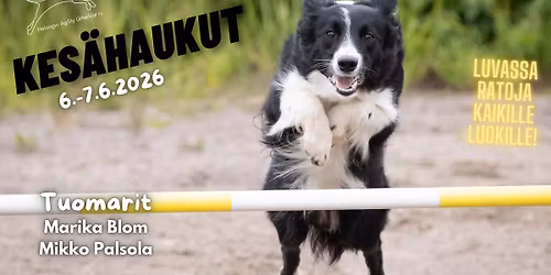 Kes\u00e4HAUkut