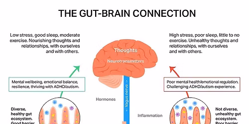 Gut Health Workshop - Fix that BLOATING for good!