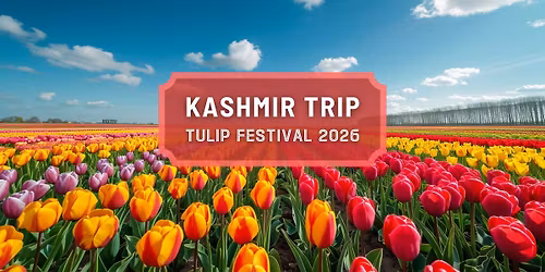 Kashmir Trip - Tulip Festival