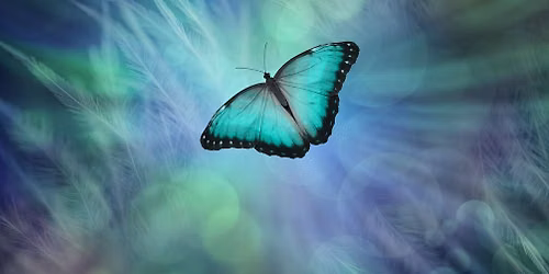 Low-Cost Reiki & Energy Healing Clinic in Glastonbury