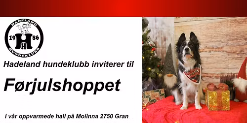 F\u00f8rjulshoppet p\u00e5 Hadeland\ud83c\udf85 med bl\u00e5b\u00e6r\ud83e\uded0