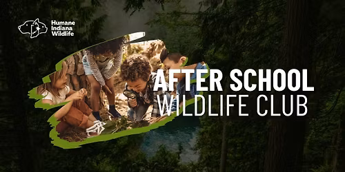 After-School Wildlife Club: Where Adventure Meets Nature!