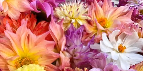 Lynn Valley Garden Club Annual Plant Sale