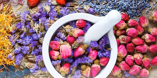 Herbal Alchemy: Blend Your Own Healing Tea