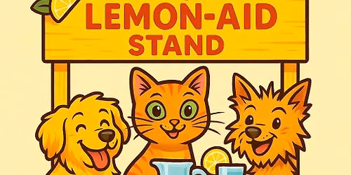 3rd Annual Evelyn\u2019s Lemon-Aid Stand
