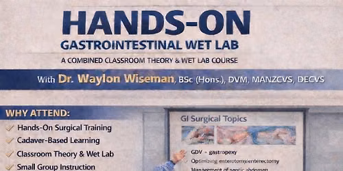 GI SURGICAL WET LAB AND LECTURE