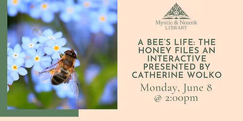 A Bee\u2019s Life: The Honey Files an Interactive presented by Catherine Wolko