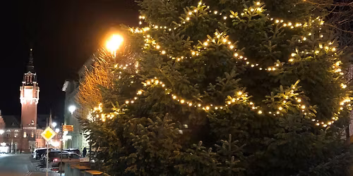 Dahmer Weihnachtsmarkt der Vereine