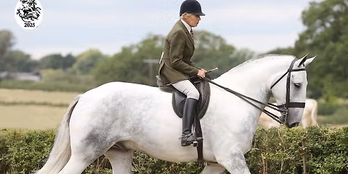 Ridden Showing Clinic with Lynn Russell