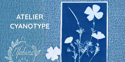 Atelier Cyanotype \u00e0 l'Herberie