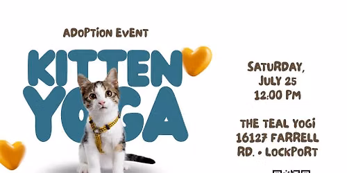 Kitten Yoga & Adoption Event with NAWS