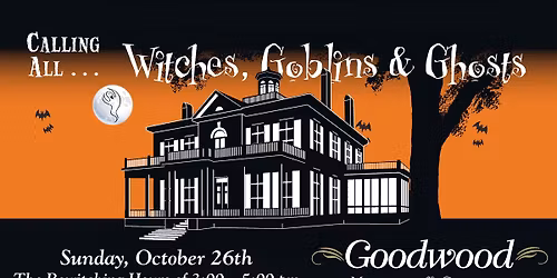Owl-O-Ween: A Family Fun Day at Goodwood