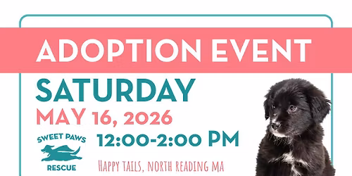 Adoption Event at Happy Tails Pet Supplies
