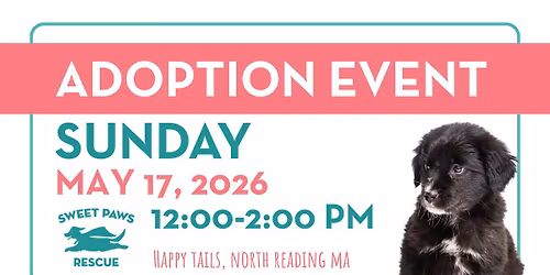 Adoption Event at Happy Tails Pet Supplies