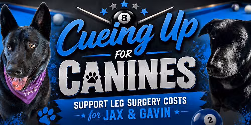 Cueing Up For Canines - Help Jax & Gavin Get Back on their Paws